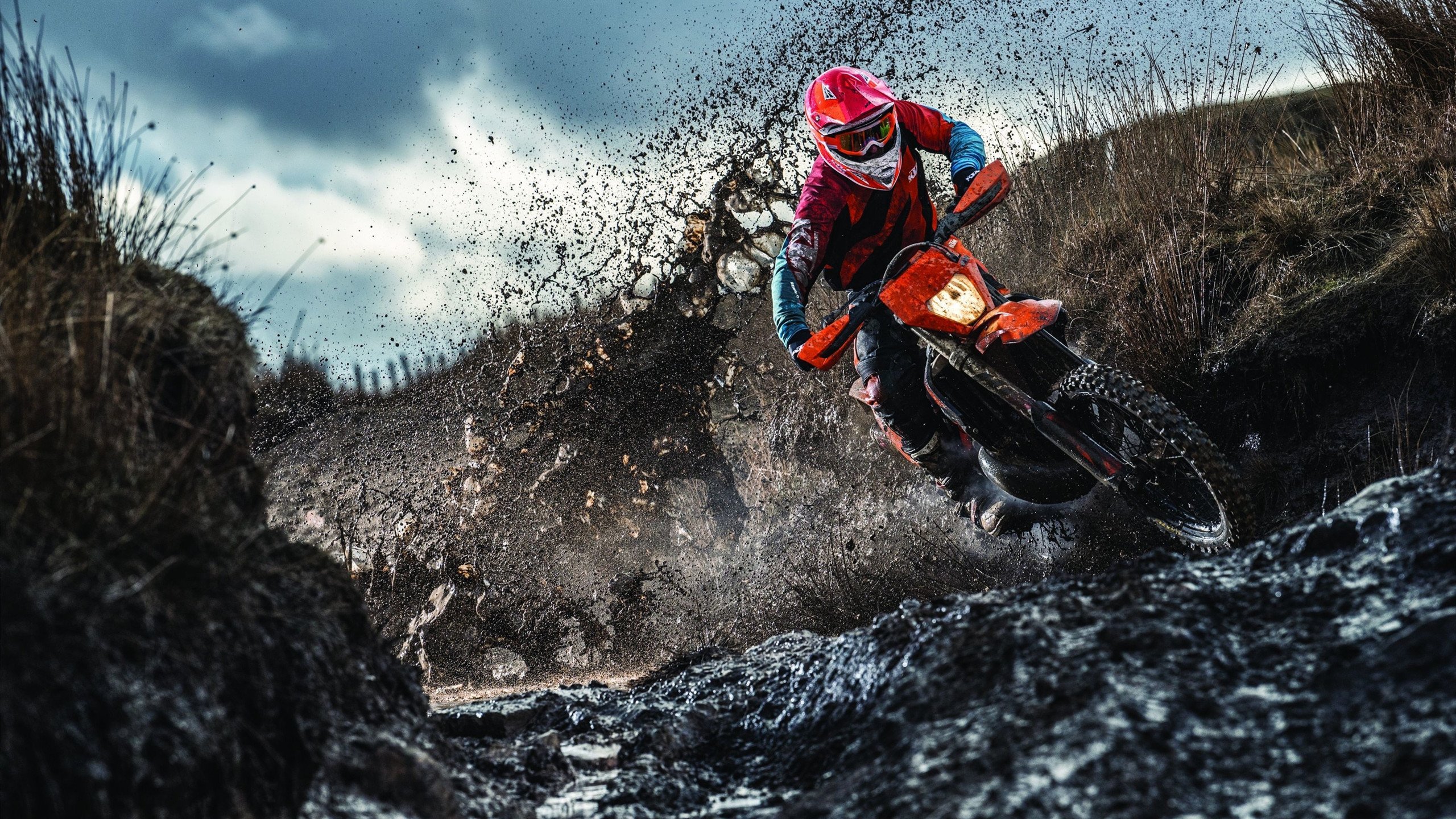 乐鱼体育在线登录-南非羚羊队的球员：每个位置都具备极高的竞技水平和战术意识，南非大羚羊主要分布哪里